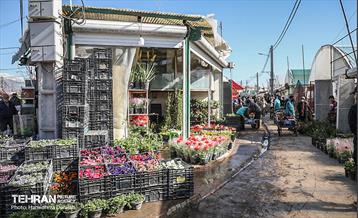 بازار گل محلاتی  18