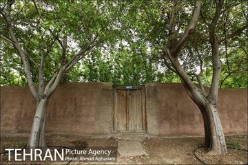 باغ گیاه‌شناسی ملی ایران 4