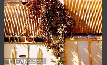 محله نازی آباد 33