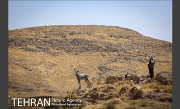 بوستان سرخه حصار 11