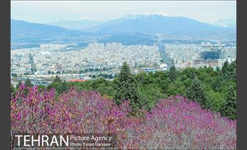 طبیعت بهاری بوستان سرخه حصار‎ 20