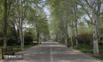 بوستان بانوان نرگس 38