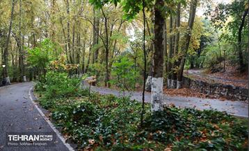 طبیعت پاییزی مجموعه فرهنگی تاریخی سعدآباد  45