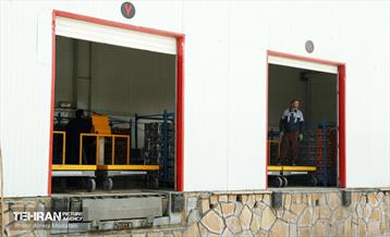 توزیع میوه شب عید قیمت تنظیم بازار در میادین و بازارهای میوه و تره‌بار 15