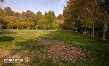 سمفونی رنگ های پاییزی - پارک لاله 13