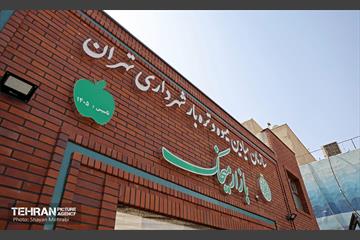 بازار میوه و تره‌بار میخک 1