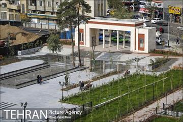 بوستان دامپزشکی 24