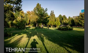 شهرنگار؛ بوستان قائم 7