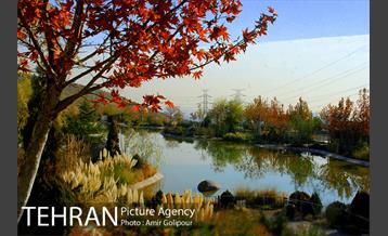 آبشار رنگارنگ 26