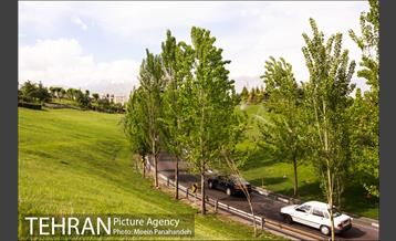 هوای بهاری تهران 13