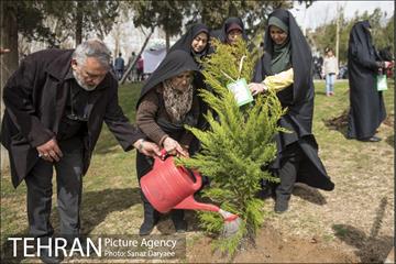 درختکاری و لانه گذاری کبوتر در بوستان بعثت 22
