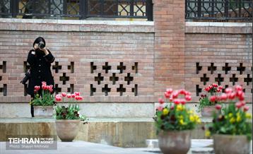 تور عکاسی از باغ ایرانی 28