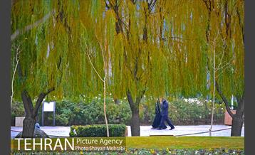 پاییز منطقه گردشگری اراضی عباس آباد 3