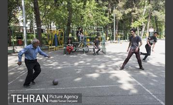 بوستان فدک‎ 29