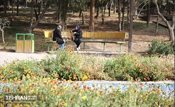 طبیعت پاییزی باغ راه فدک تهران 37