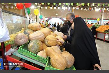 بازدید مدیرعامل سازمان تره‌وبار از میادین میوه 17