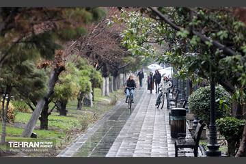 بارش باران زمستانی در تهران 16