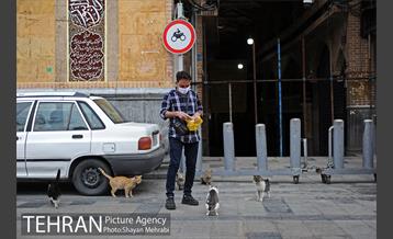 تعطیلی بازار تهران، برای جلوگیری از شیوع ویروس کرونا 31