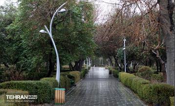 بارش باران زمستانی در تهران 13