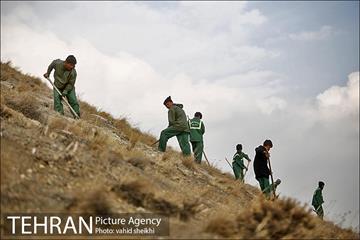 بازدید شهردار تهران از پروژه درختکاری کمربند سبز تهران  14