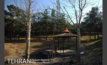 پارک جنگلی سرخه حصار 17