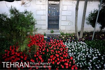 پیاده راه لاله مادران 29