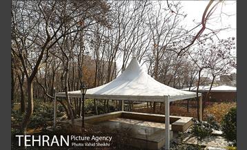 باغ ایرانی 25