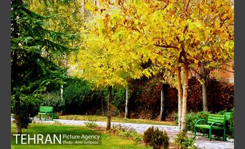 بوستان پارسیان 9