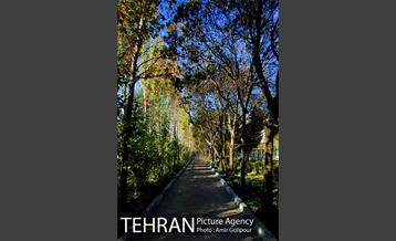 شهرک صدرا 34