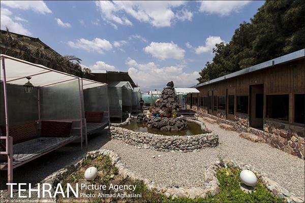 بوستان جنگلی سرخه حصار 18