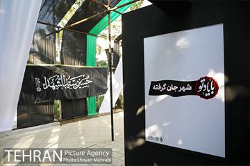 نمایشگاه عطر سیب 6