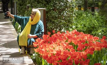 لاله های باغ ایرانی 31
