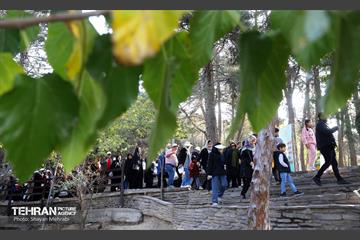 همایش‌ پیاده‌روی خانوادگی کارکنان شهرداری تهران 33