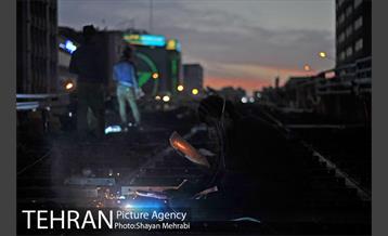 بازسازی پل کریمخان 9