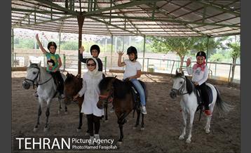 سوارکاری ورزشی برای کودکان‎ 15