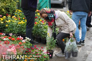 بازار گل و گیاه غرب تهران در آستانه نوروز 8