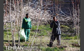 باز آفرینی باغ عبقری منطقه ۲ 4