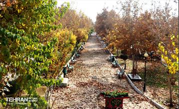 گذر پاییزی بوستان رازی 5
