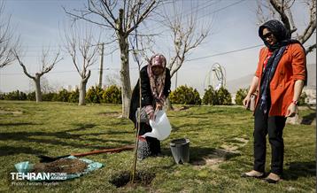 آیین درختکاری در منطقه‌5 11