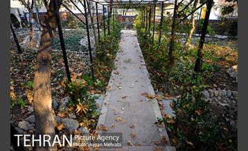 پاییز باغ ایرانی 2