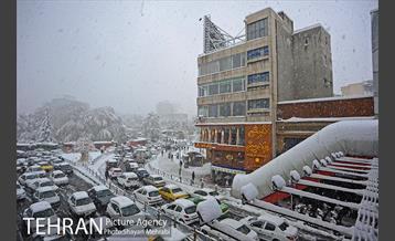 بارش برف در تجریش 15