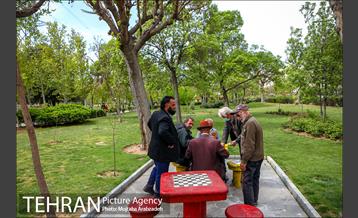 روز طبیعت بدون انسان 19