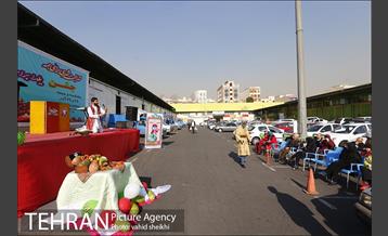 بازار میوه و تره بار جلال آل احمد در آستانه شب یلدا 9