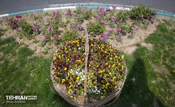 هوای بهاری منطقه 5 8