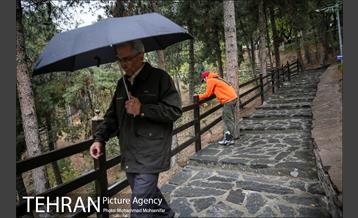 بارش باران پاییزی در تهران 13