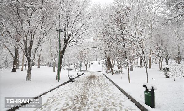 تهران برفی 4