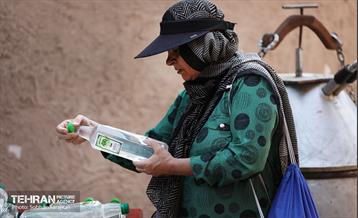 نوزدهمین جشنواره گل و گلاب تهران  12