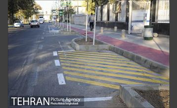 پارک خودرو‌ بین درختان چنار 14