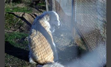 پارک پردیسان 12