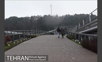 بارش باران در منطقه گردشگری عباس آباد 9